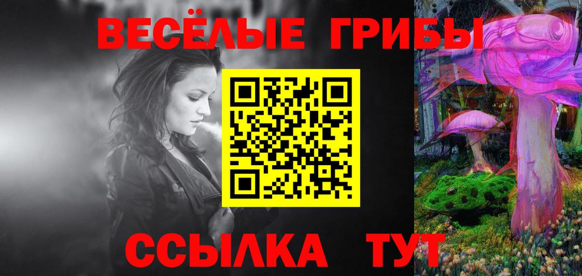 Галлюциногенные грибы GOLDEN TEACHER  закладки  Заринск  Вход с VPN 